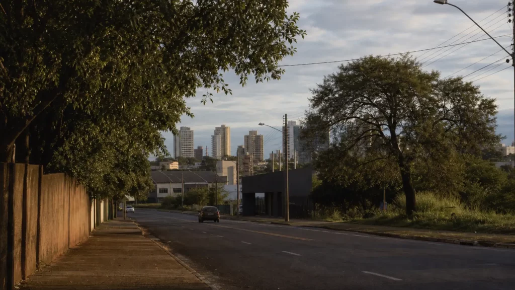 Planejamento sucessório em Ribeirão Preto, SP: paisagem urbana documental