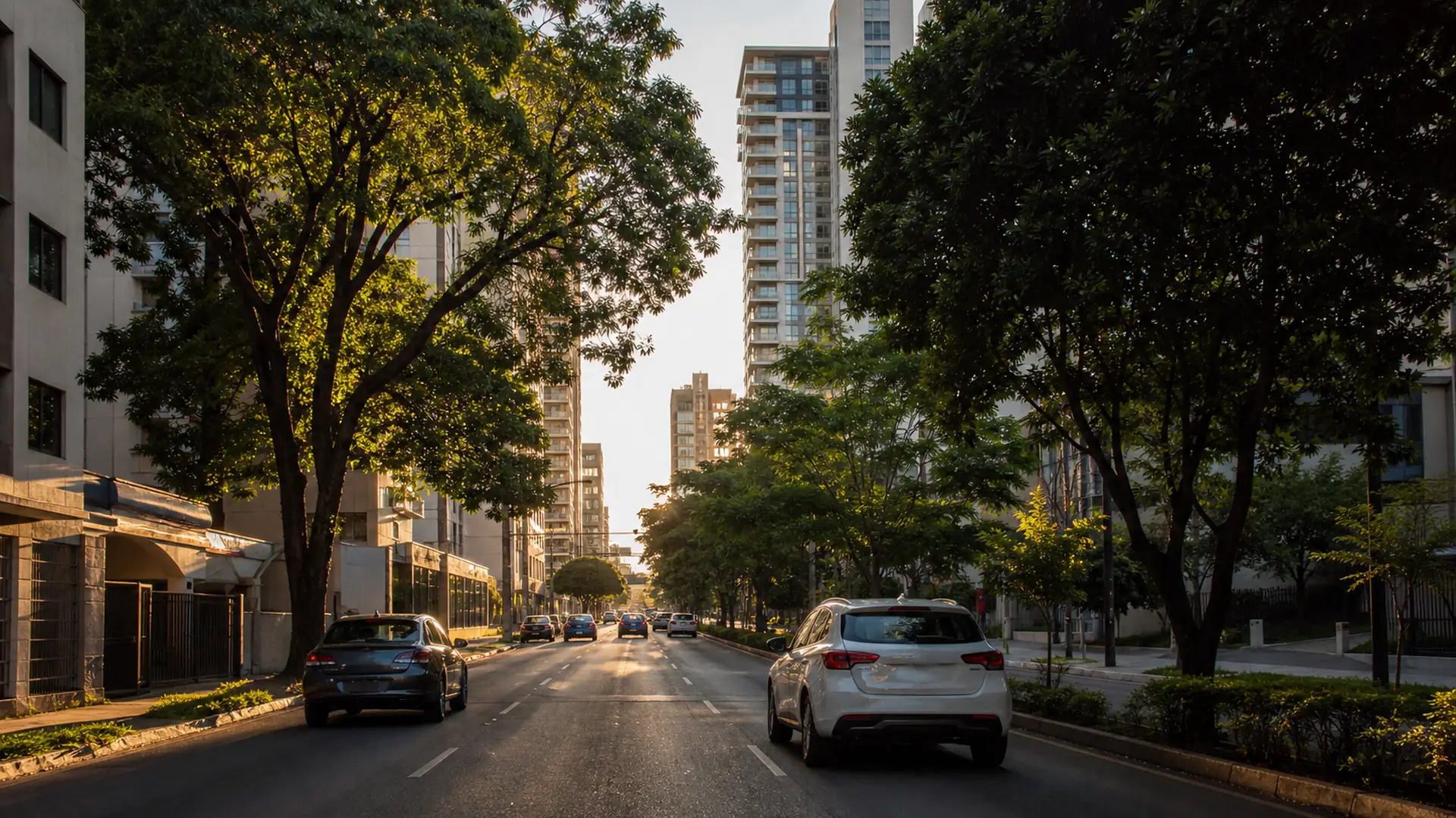 Wealth planning em Londrina, PR Wealth planning em Londrina, PR — fotografia urbana documental de Londrina